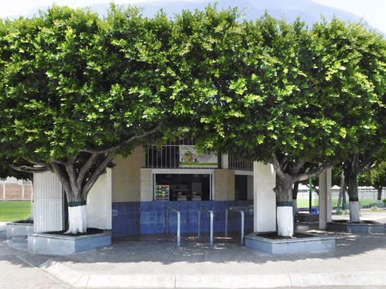 Tienda de Alimentos