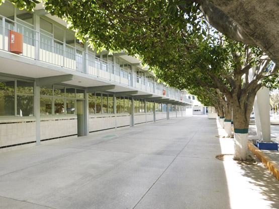 Frente a salones de secundaria y preparatoria
